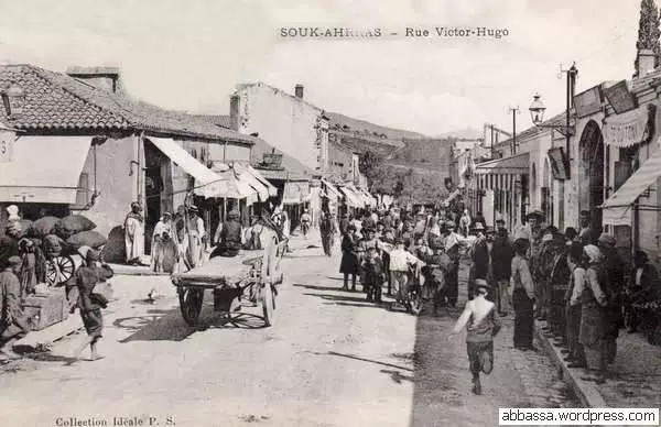 Ca41 sahras 44